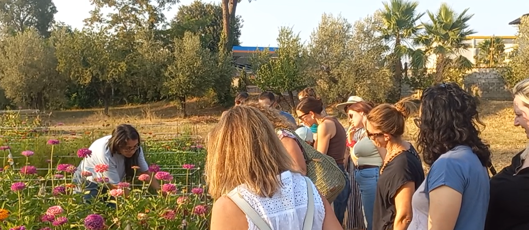 Un’esperienza di autoraccolta di fiori alla Flower Farm “Terra di Fiori” di Giulia con l’Ecomuseo di Velletri